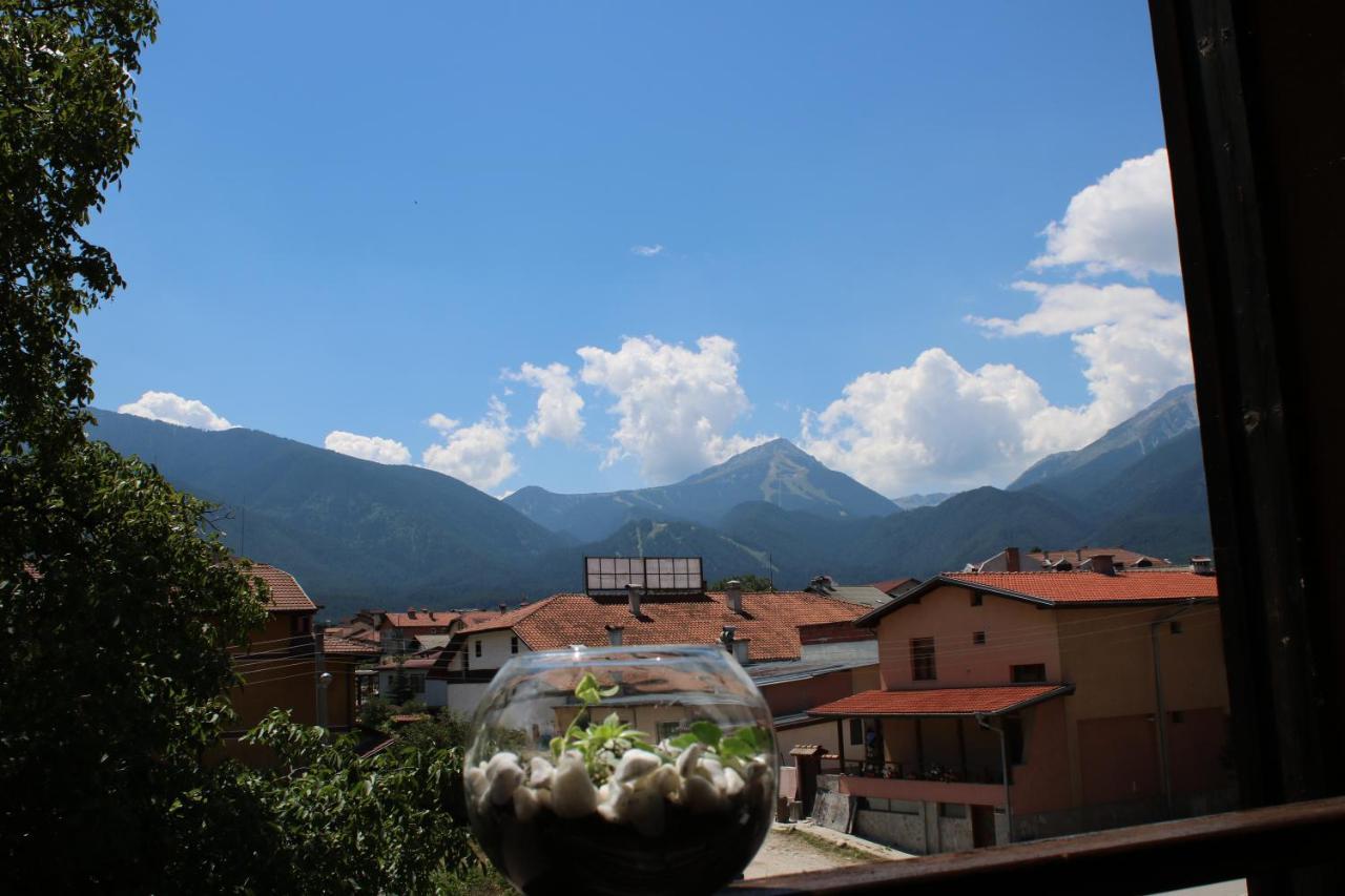 North Star Hotell Bansko Exteriör bild